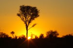 South African Sunset