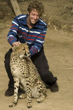 Stroking the cheetahs